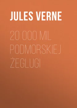 20 000 mil podmorskiej żeglugi, Жюль Верн