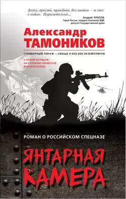 Янтарная камера, Александр Тамоников