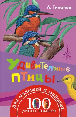 Удивительные птицы, Александр Тихонов