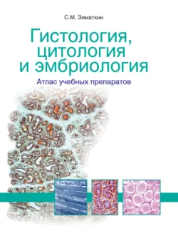 Гистология, цитология и эмбриология: атлас учебных препаратов, Сергей Зиматкин