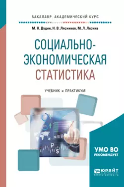 Социально-экономическая статистика. Учебник и практикум для академического бакалавриата, Михаил Дудин