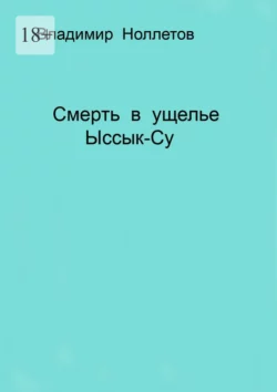 Смерть в ущелье Ыссык-Су, Владимир Ноллетов