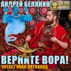 Верните вора!, Андрей Белянин