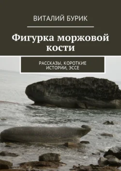 Фигурка моржовой кости. Рассказы, короткие истории, эссе, Виталий Бурик