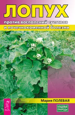 Лопух против воспалений суставов и почечнокаменной болезни, Мария Полевая