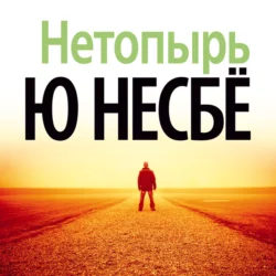 Нетопырь, Ю Несбё