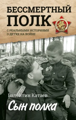 Сын полка. Реальные истории о детях на войне (сборник), Валентин Катаев