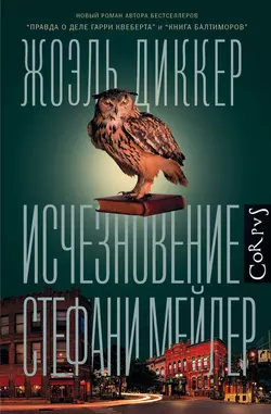 Исчезновение Стефани Мейлер, Жоэль Диккер