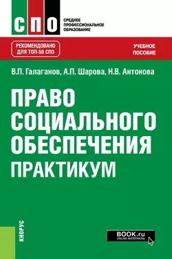 Право социального обеспечения. Практикум, Владимир Галаганов