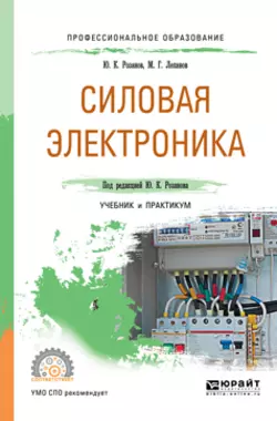 Силовая электроника. Учебник и практикум для СПО Михаил Лепанов и Юрий Розанов