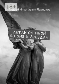Летай со мной во сне к звездам. Космическая сага, Андрей Ларионов