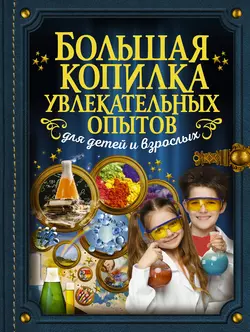 Большая копилка увлекательных опытов для детей и взрослых, Любовь Вайткене