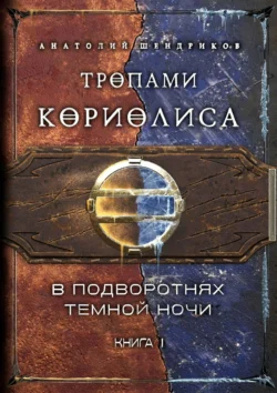 Тропами Кориолиса. Книга 1. В подворотнях темной ночи, Анатолий Шендриков