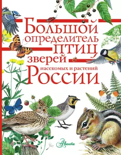 Большой определитель птиц, зверей, насекомых и растений России, Коллектив авторов