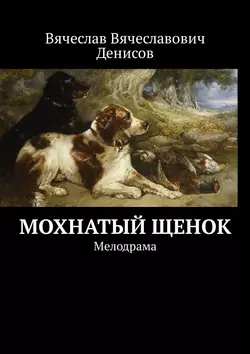 Мохнатый щенок. Мелодрама, Вячеслав Денисов