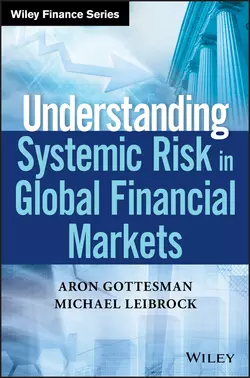 Understanding Systemic Risk in Global Financial Markets, Aron Gottesman