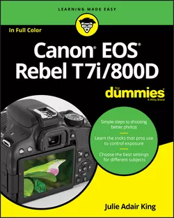 Canon EOS Rebel T7i 800D For Dummies Julie Adair King