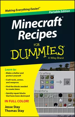 Minecraft Recipes For Dummies, Jesse Stay