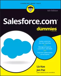 Salesforce.com For Dummies, Jon Paz