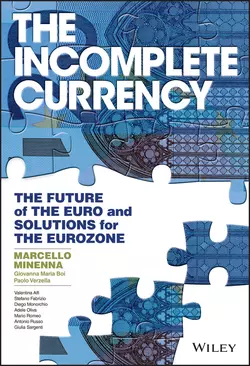 The Incomplete Currency, Marcello Minenna