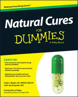 Natural Cures For Dummies, Joe Kraynak