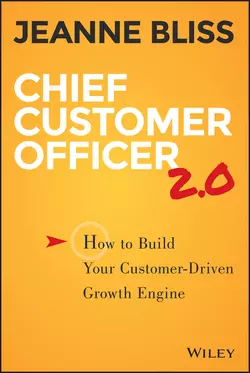 Chief Customer Officer 2.0, Jeanne Bliss