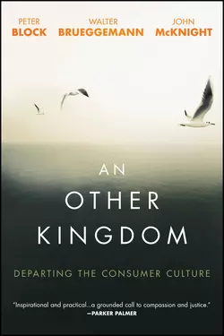 An Other Kingdom John McKnight и Peter Block