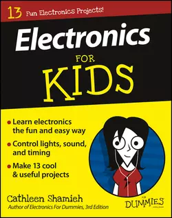 Electronics For Kids For Dummies, Shamieh Cathleen