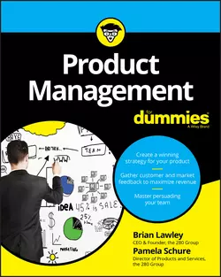 Product Management For Dummies, Brian Lawley