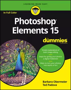 Photoshop Elements 15 For Dummies, Barbara Obermeier