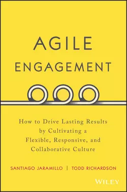 Agile Engagement, Todd Richardson