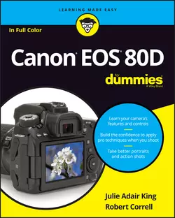 Canon EOS 80D For Dummies, Julie Adair King