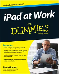 iPad at Work For Dummies Galen Gruman