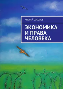 Экономика и права человека, Андрей Соколов