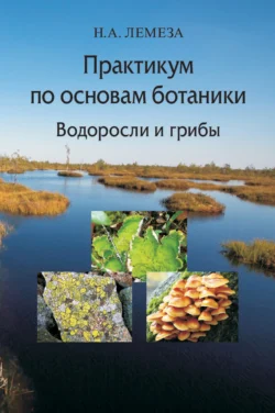 Практикум по основам ботаники. Водоросли и грибы, Николай Лемеза