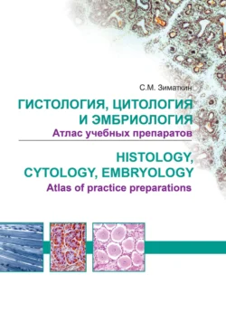 Гистология, цитология и эмбриология. Атлас учебных препаратов / Histology, Cytology, Embriology. Atlas of practice preparations, Сергей Зиматкин