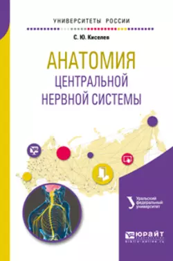 Анатомия центральной нервной системы. Учебное пособие для вузов, Сергей Киселев