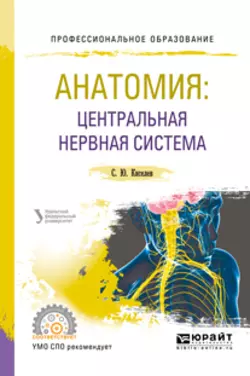 Анатомия: центральная нервная система. Учебное пособие для СПО, Сергей Киселев