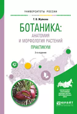 Ботаника: анатомия и морфология растений. Практикум 2-е изд., пер. и доп. Учебное пособие для вузов, Татьяна Жуйкова