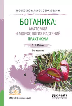 Ботаника: анатомия и морфология растений. Практикум 2-е изд., пер. и доп. Учебное пособие для СПО, Татьяна Жуйкова