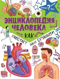 Энциклопедия человека. Как работает наш организм, Коллектив авторов