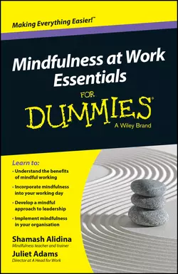 Mindfulness At Work Essentials For Dummies, Shamash Alidina