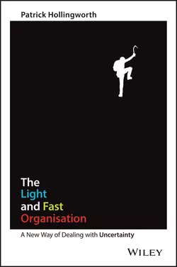 The Light and Fast Organisation. A New Way of Dealing with Uncertainty, Patrick Hollingworth