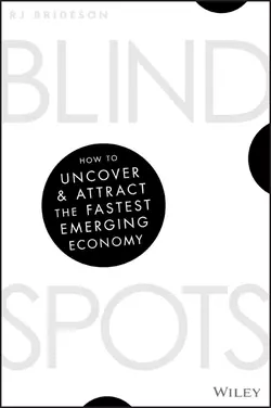 Blind Spots. How to uncover and attract the fastest emerging economy, RJ Brideson