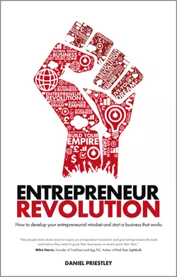 Entrepreneur Revolution. How to develop your entrepreneurial mindset and start a business that works, Daniel Priestley