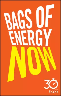 Bags of Energy Now: 30 Minute Reads. A Shortcut to Feeling More Alert and Finding More Oomph, Nicholas Bate