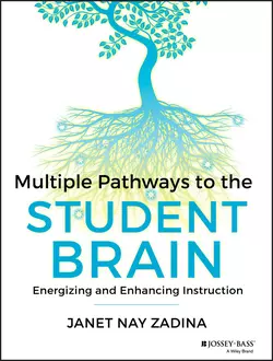 Multiple Pathways to the Student Brain. Energizing and Enhancing Instruction, Janet Zadina