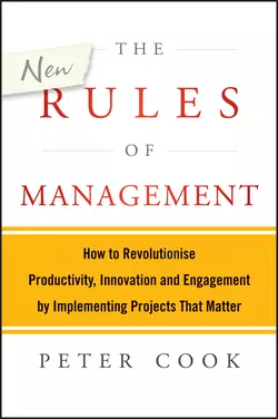 The New Rules of Management. How to Revolutionise Productivity, Innovation and Engagement by Implementing Projects That Matter, Peter Cook