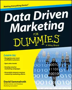 Data Driven Marketing For Dummies, David Semmelroth