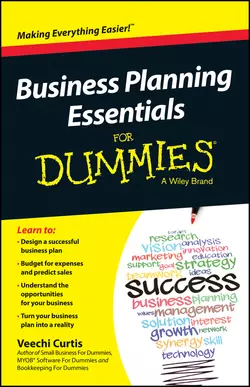 Business Planning Essentials For Dummies, Veechi Curtis